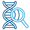 Chart showing the process of diagnosing DEB through genetic testing